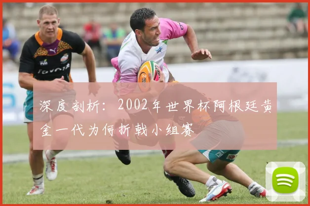 深度剖析：2002年世界杯阿根廷黄金一代为何折戟小组赛