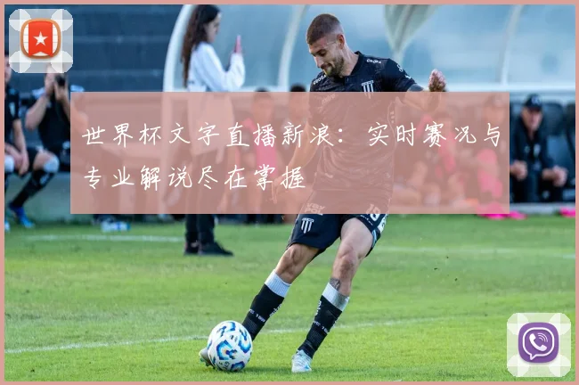 世界杯文字直播新浪：实时赛况与专业解说尽在掌握