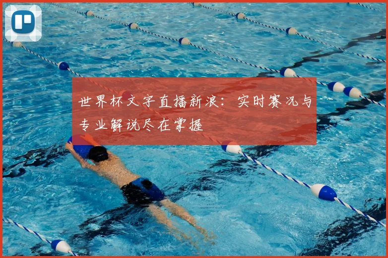 世界杯文字直播新浪：实时赛况与专业解说尽在掌握