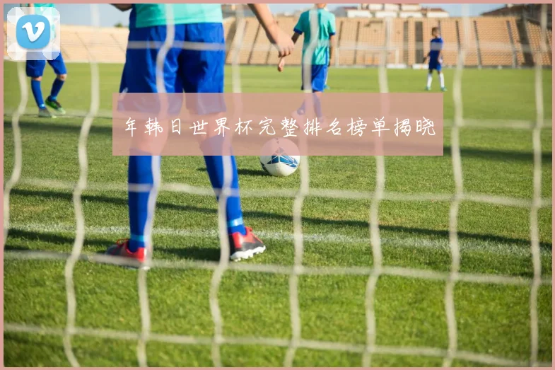 年韩日世界杯完整排名榜单揭晓