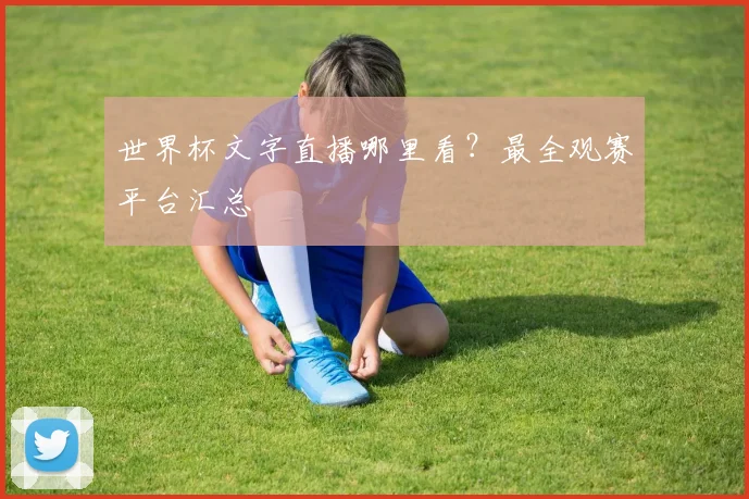 世界杯文字直播哪里看？最全观赛平台汇总